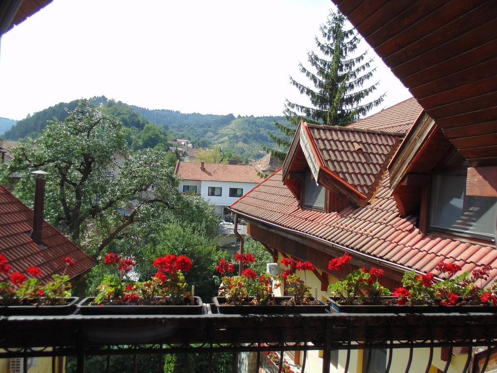 Bed & Breakfast Curtea Brasoveana